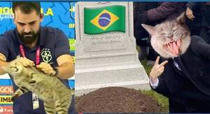 La maldición del gato: Le tiraron de la conferencia y Brasil se eliminó