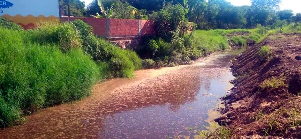 Desidia del Mades propicia contaminación, critica concejal de Limpio - Nacionales - ABC Color
