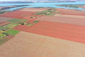 Tierras de Guajhory serían adquiridas por el Indert la próxima semana - Nacionales - ABC Color