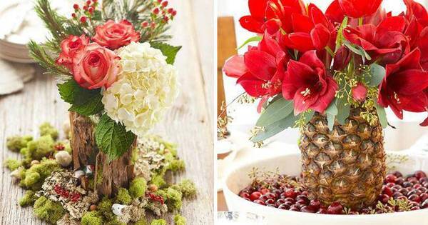 La Nación / Plantas y flores vivas para adornar
