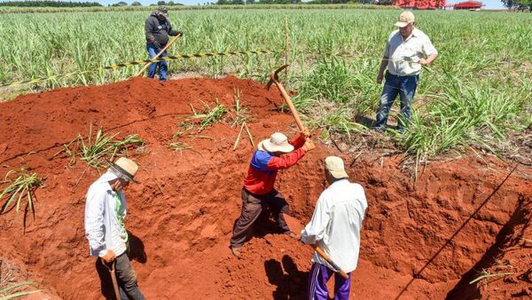 Caso Caaguazú: La obstinada búsqueda de los desaparecidos