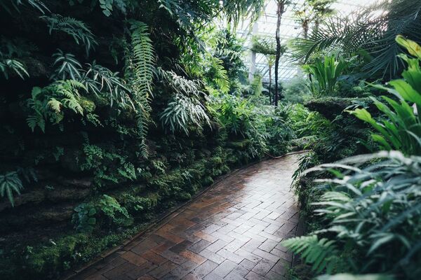 Tres consejos prácticos para evitar que las orugas arruinen tu jardín