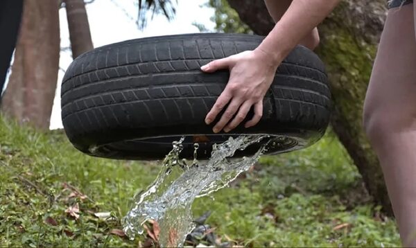 Dengue, zika y chikunguña: cómo lograr un entorno libre de mosquitos - Nacionales - ABC Color