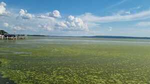 El lago ya no tan azul de Ypacaraí vuelve a ser noticia - El Independiente