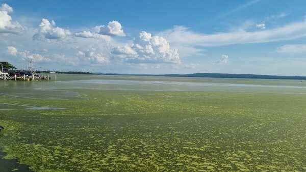 El lago ya no tan azul de Ypacaraí vuelve a ser noticia - El Independiente
