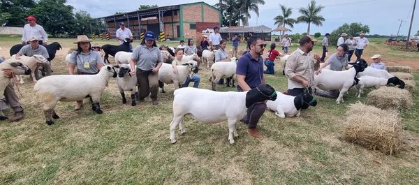 Exitosa primera edición de la fiesta del cordero misionero - Nacionales - ABC Color