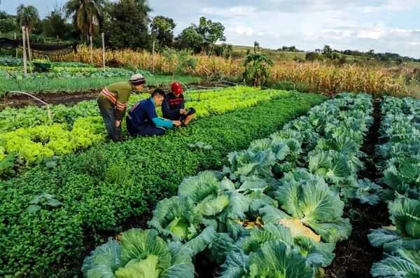 Alta inflación aumenta el riesgo de la inseguridad alimentaria - Económico - ABC Color