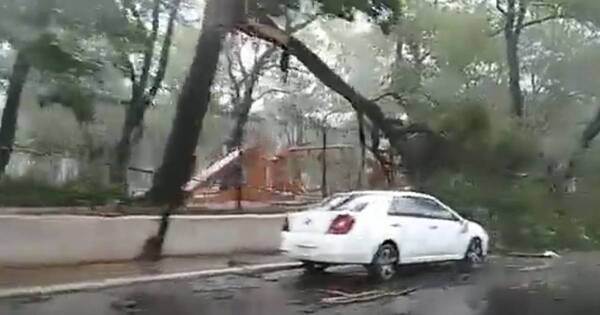 La Nación / Alerta de tormentas en gran parte del país
