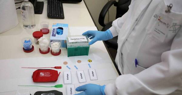La Nación / Se realizó toma de muestra de ADN en juicio de filiación en Misiones