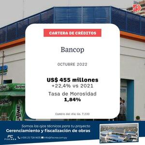 La cartera de créditos del Bancop creció 22% a octubre | Bancos | 5Días