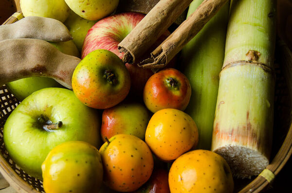 La producción de frutos para piñatas en México alcanza los US$ 882 millones | Internacionales | 5Días