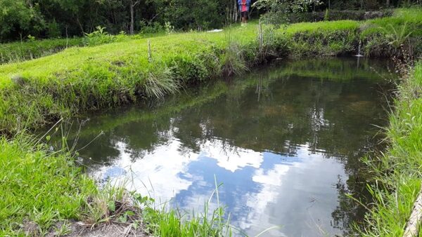 Hallan a niña de 3 años ahogada en pileta para cría de peces | 1000 Noticias
