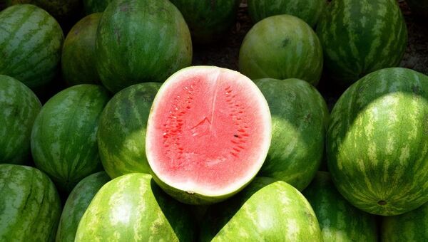 Sin sandía no es diciembre: Más de 200.000 frutas ya fueron comercializadas (habrá disponibilidad todo enero)