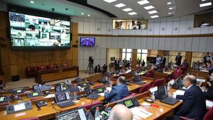Senado tiene casi 30 proyectos que están al filo de sanción automática