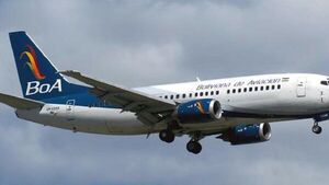Aerolínea estatal de Bolivia bajo investigación por extravío de gato