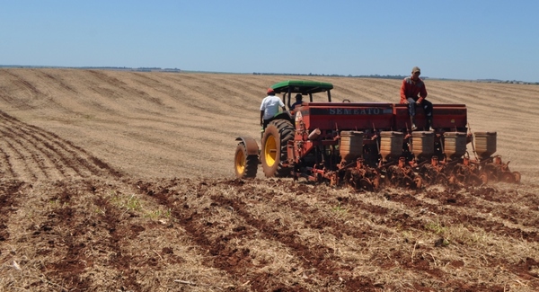 Calor extremo y falta de precipitaciones generales empiezan a impactar en la soja