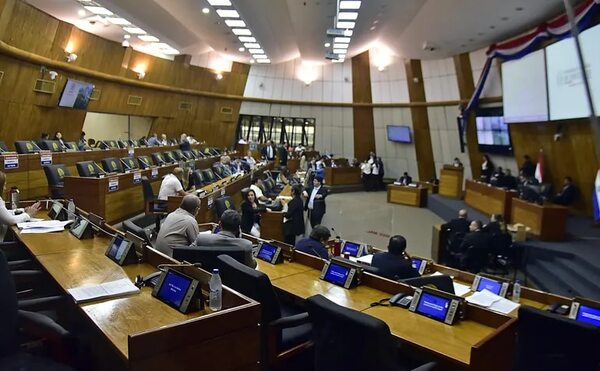 Diputados piden al Cones “elecciones transparentes y subsanar irregularidades” - Nacionales - ABC Color