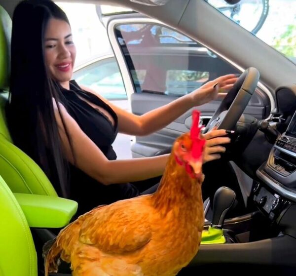 (VIDEO)¡Mirá a la gallina de Laurys Diva haciendose las uñas en un spa!