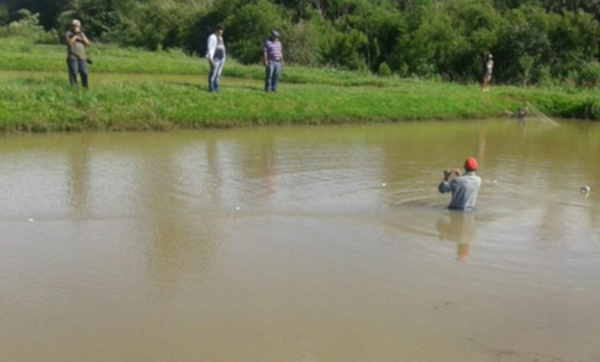 Niña de 3 años muere tras caer a un estanque de peces - Noticde.com