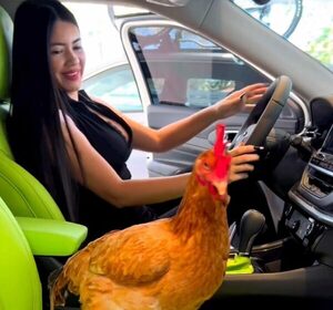 ¡Mirá a la gallina de Laurys Diva haciendose las uñas en un spa!
