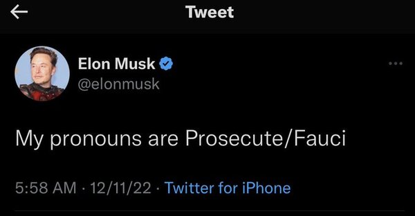 La verdad resuena: Elon Musk cargó contra el doctor Fauci - Informatepy.com