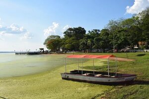 Lago verde de Ypacaraí: ya están los resultados de los análisis y esto es lo que dicen - Mundo - ABC Color