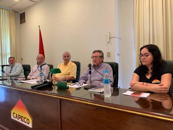 Esperan buena cosecha de soja, con cerca de 9 millones de toneladas - Nacionales - ABC Color