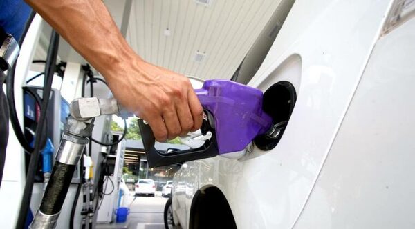 Emblemas privados empezaron con la rebaja de precios del combustible, aseguran