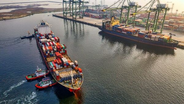 Crecen inversiones uruguayas en sector inmobiliario y pronto habrá otro interés: su know how en forestación