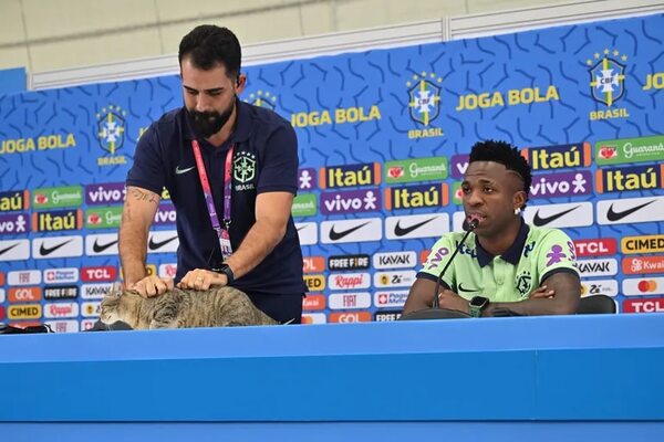 Caso Michi del Mundial Qatar 2022: ¿Cuál es la forma correcta de manejar y sujetar a un gato? - Mascotas - ABC Color