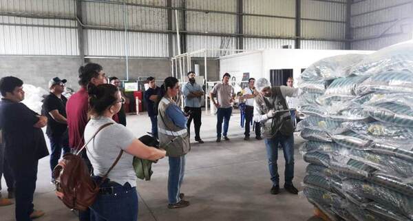 Senave desarrolló capacitación técnica a muestreadores de semillas