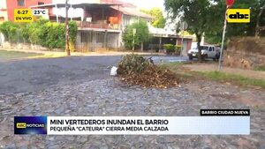 Mini vertederos en barrio Ciudad Nueva - ABC Noticias - ABC Color