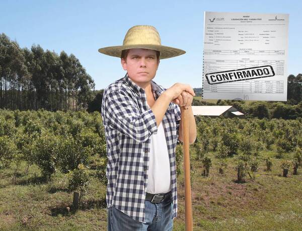 Brunetti, el “agricultor”: Fue beneficiado con 3.300 ha del Indert - ADN Digital