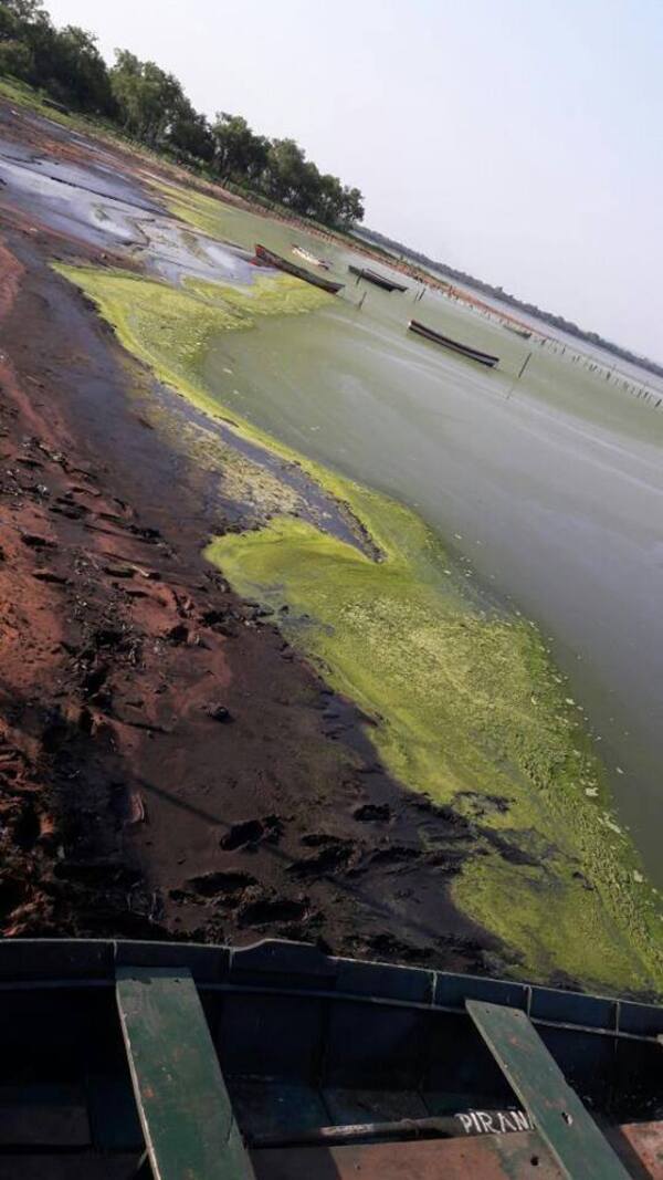 Mades: Ratifican que el lago Ypacaraí no está apto para el baño - Unicanal