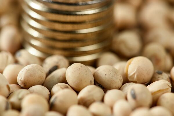 Inversión extranjera y exportaciones agrícolas, como pilares fundamentales para la recuperación del 2023 - MarketData