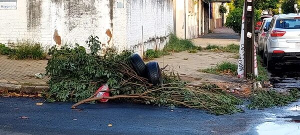 Mini vertederos pululan en el barrio Ciudad Nueva de Asunción - Nacionales - ABC Color