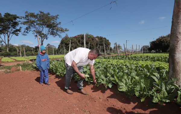 Paraguay cierra el año con una marcada recuperación agropecuaria - .::Agencia IP::.