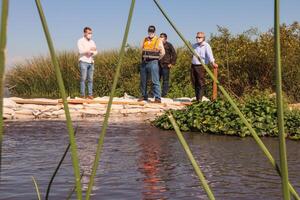 Lago Ypacaraí no tiene cianobacterias su aspecto verde se debe a algas, revela informe - .::Agencia IP::.