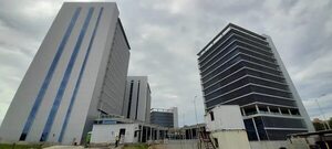 Oficinas “fantasmas” del Puerto: “Ya no hay tiempo para usar préstamo del metrobús” - Economía - ABC Color