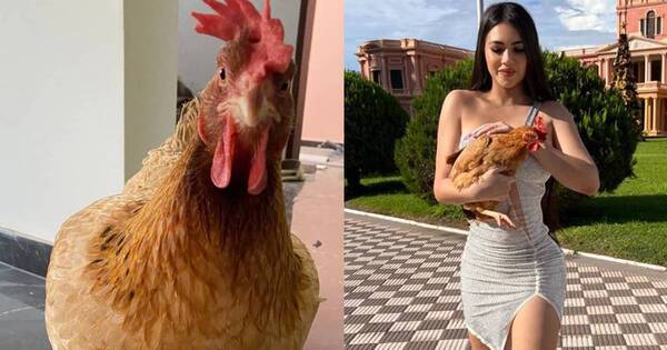 La Nación / La gallina Hortensia luce las uñas más divas gracias a su mami Laurys