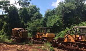 Intervienen en hecho de deforestación