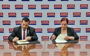ANDE alquilará su data center a la Secretaría de la Función Pública - Economía - ABC Color