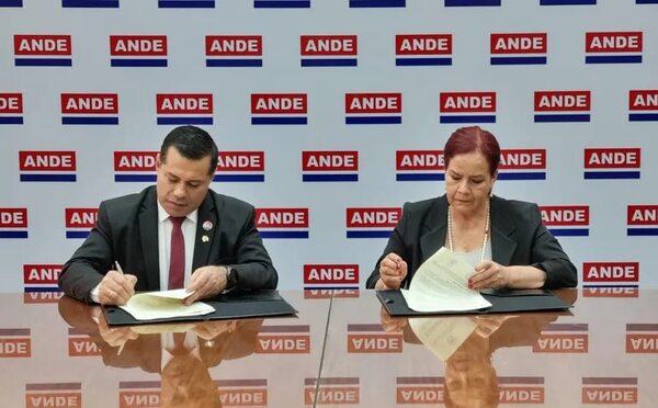 ANDE alquilará su data center a la Secretaría de la Función Pública - Economía - ABC Color