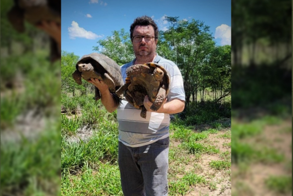 Diario HOY | Roban más de 20 tortugas de un refugio silvestre