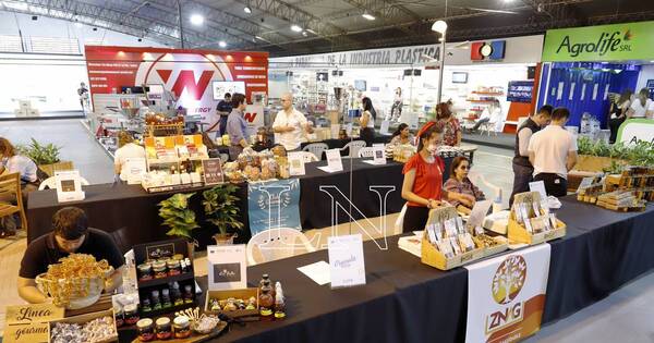 La Nación / Fortalecimiento de emprendedores es necesario para que mipymes tengan éxito, afirman
