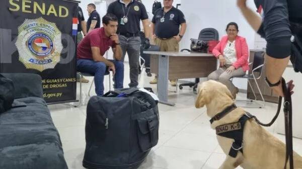 Gracias a "Sora" agarran a un joven que quería "volar" con cocaína en la maleta