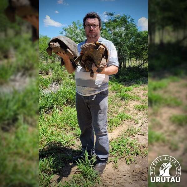 ¡Terrible! Robaron 20 tortugas en peligro de extinción del Refugio Urutau