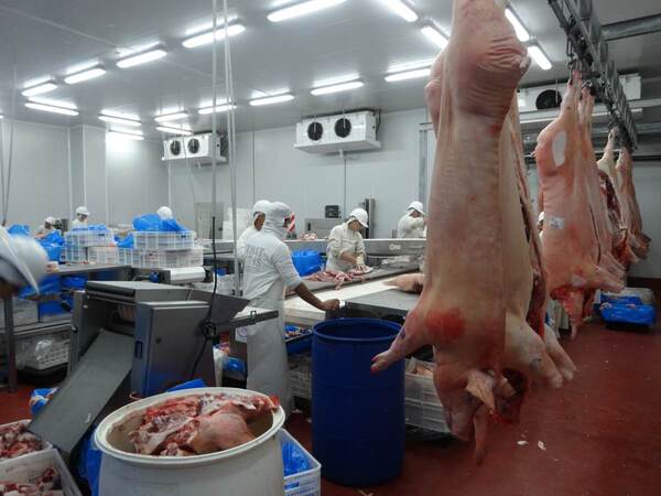 China importaría más carne de cerdo en 2023