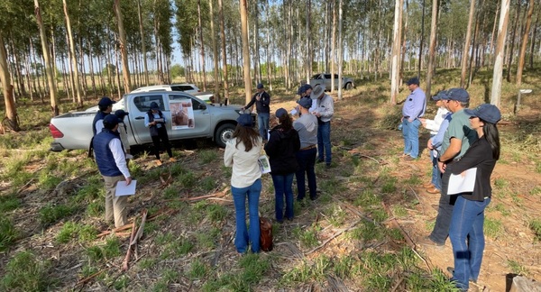 Cooperación técnica busca fortalecer el desarrollo sostenible en el Chaco paraguayo