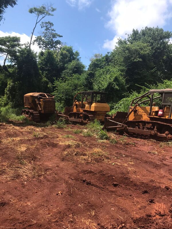 Constatan grave deforestación en la zona de la Colonia San Lorenzo - La Clave